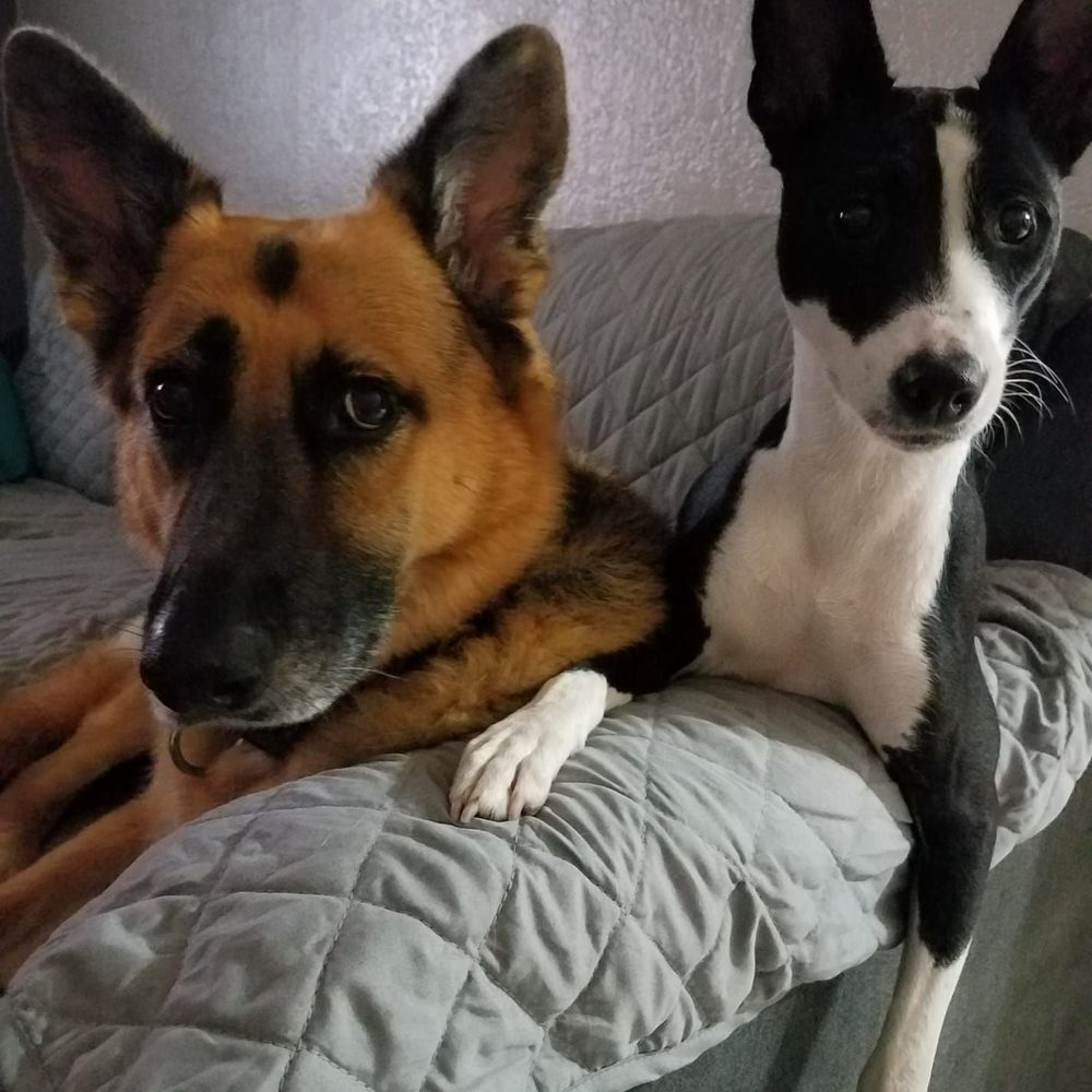 Meet your Posher, Audra